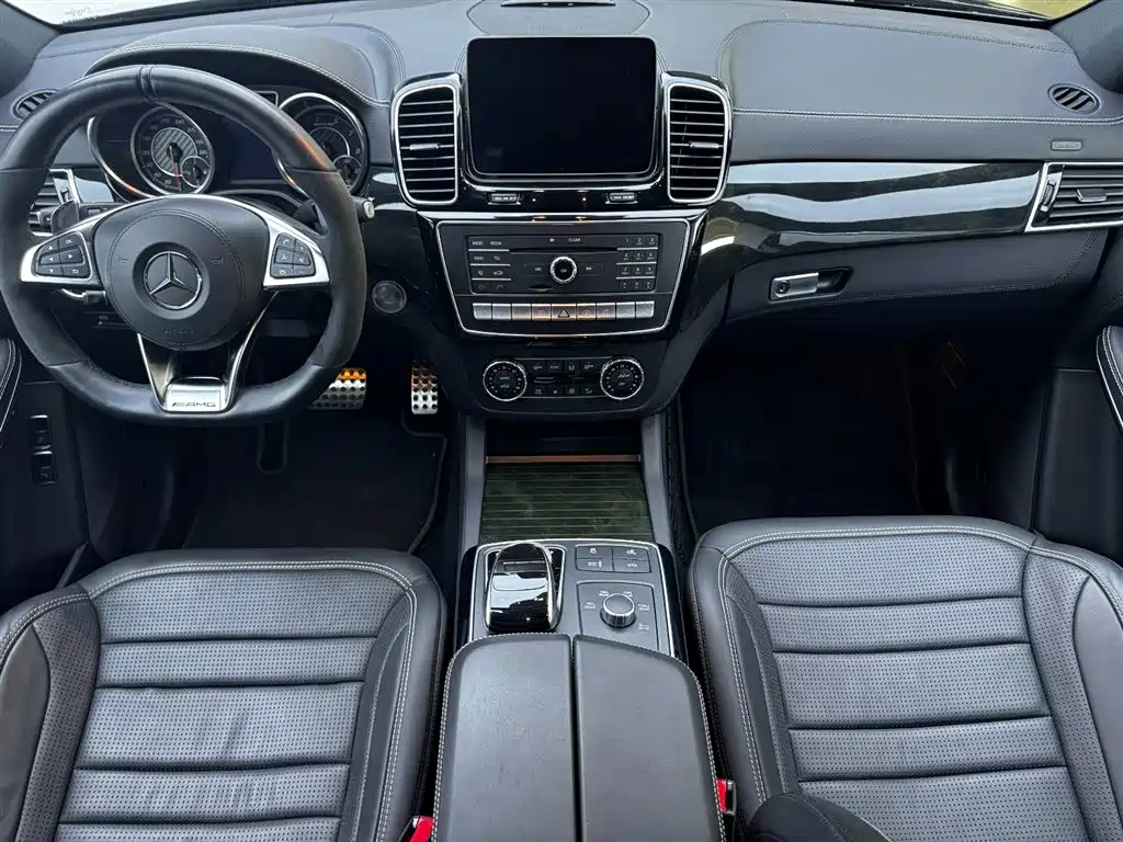 Mercedes-Benz GLS AMG 2019 — фото 16