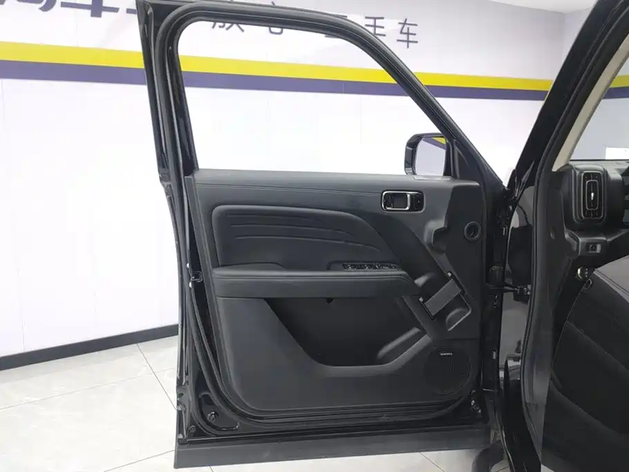 Haval Menglong New Energy 2024