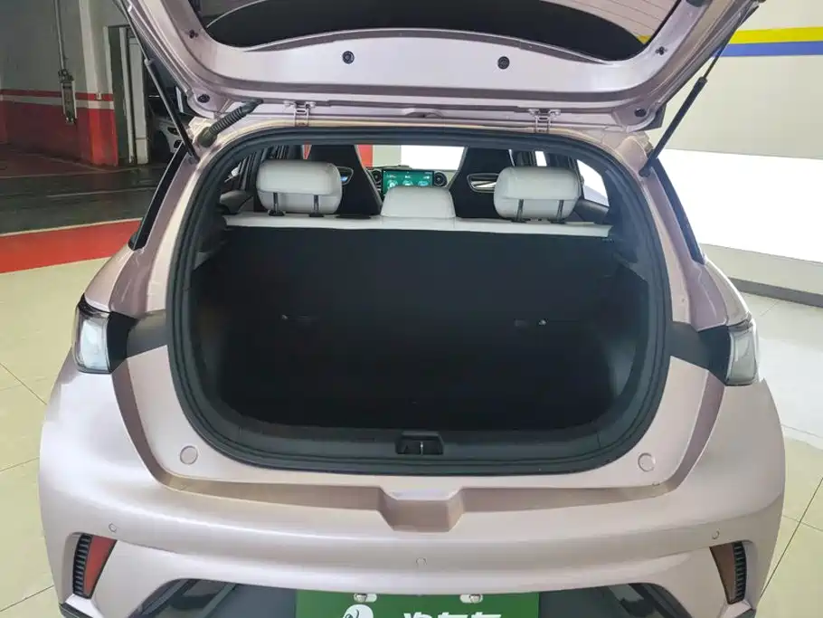 BYD Dolphin 2022