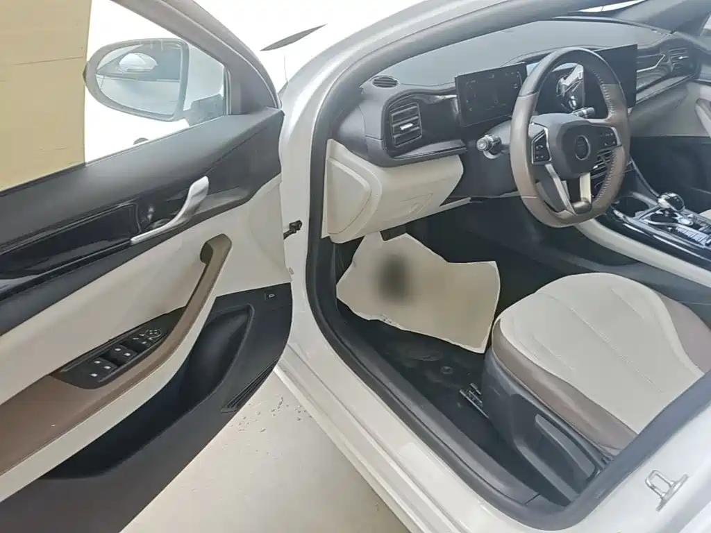 BYD Qin PLUS 2024 — фото 16