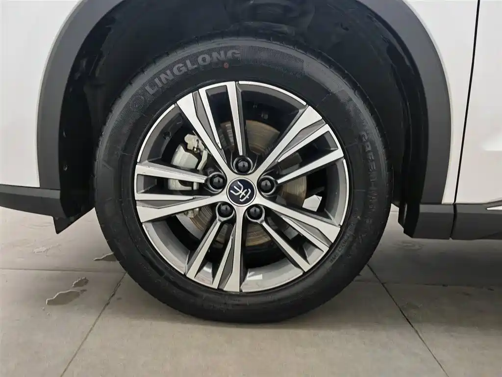 BYD Pro New Energy 2023 — фото 17