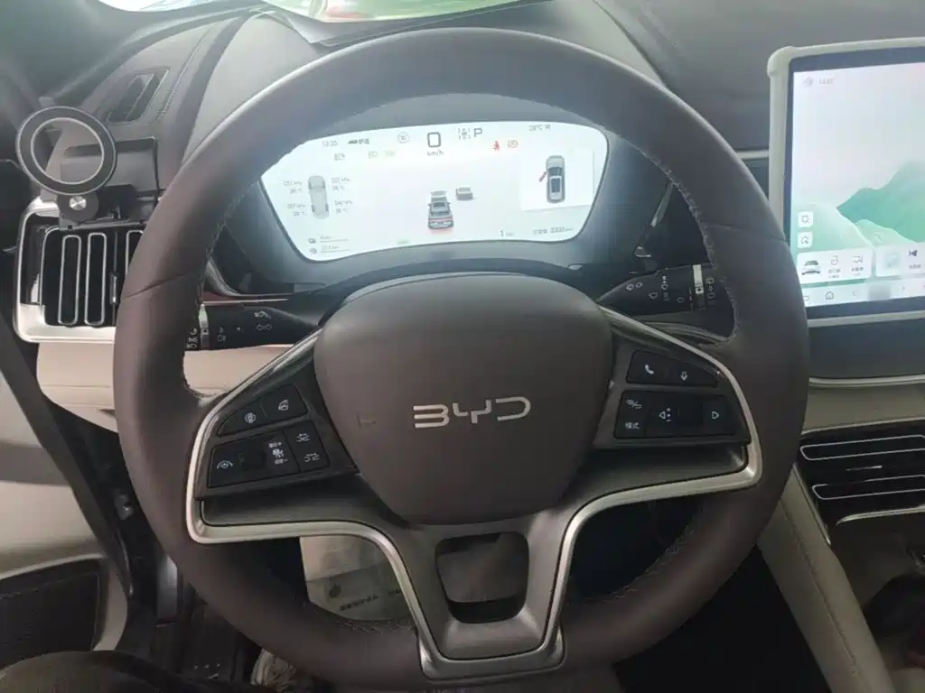 BYD PLUS New Energy 2025 — фото 11
