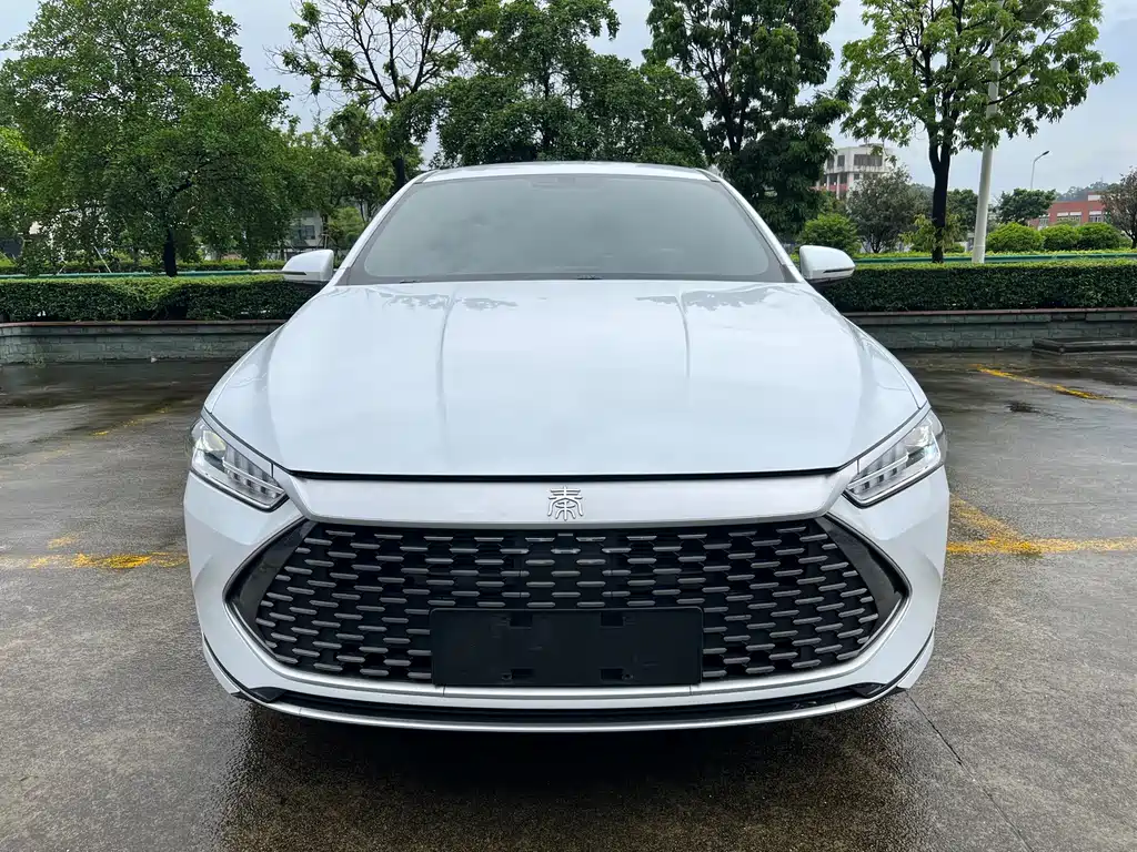 BYD Qin PLUS 2024 — фото 2