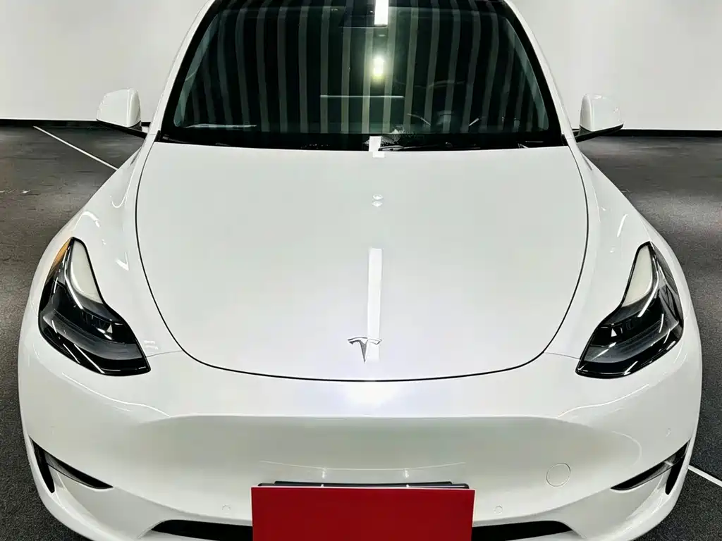 Tesla Model Y 2021 — фото 2