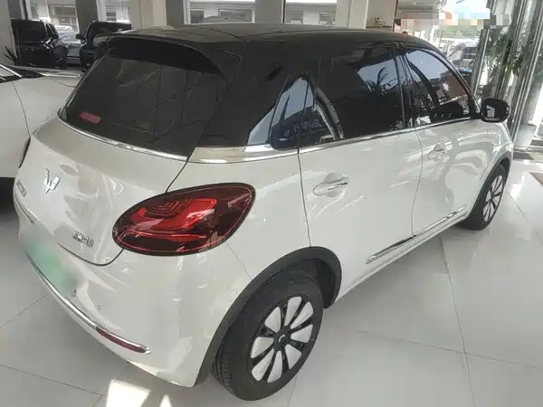 Wuling Bingo 2024