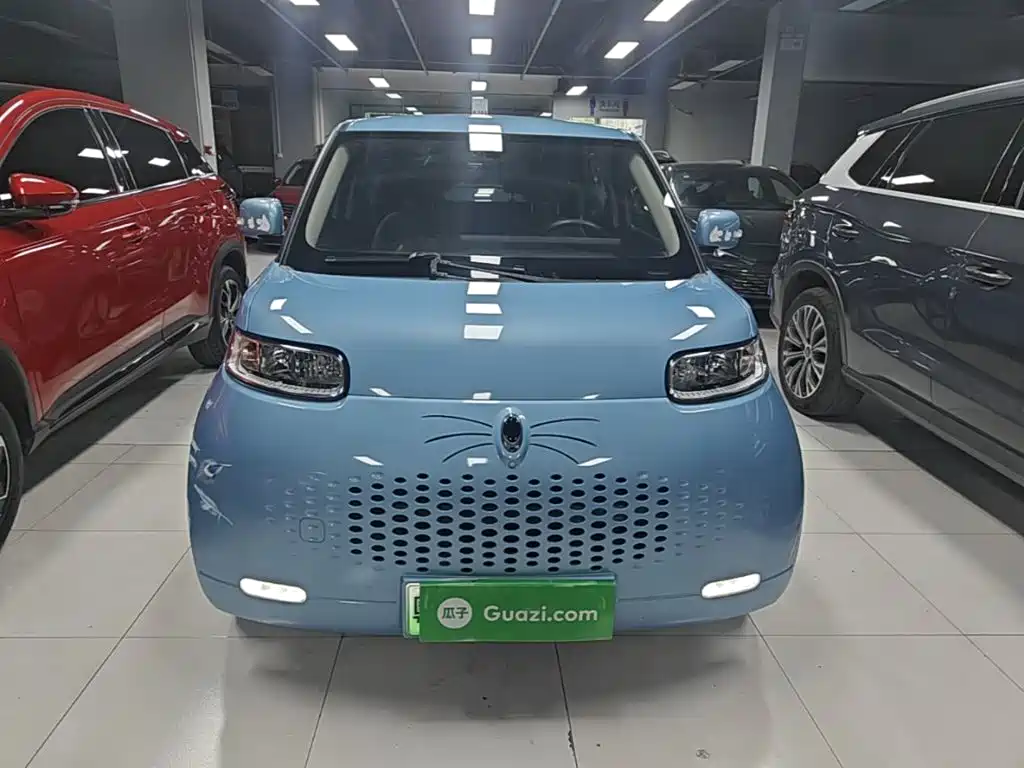 Ora White Cat 2021