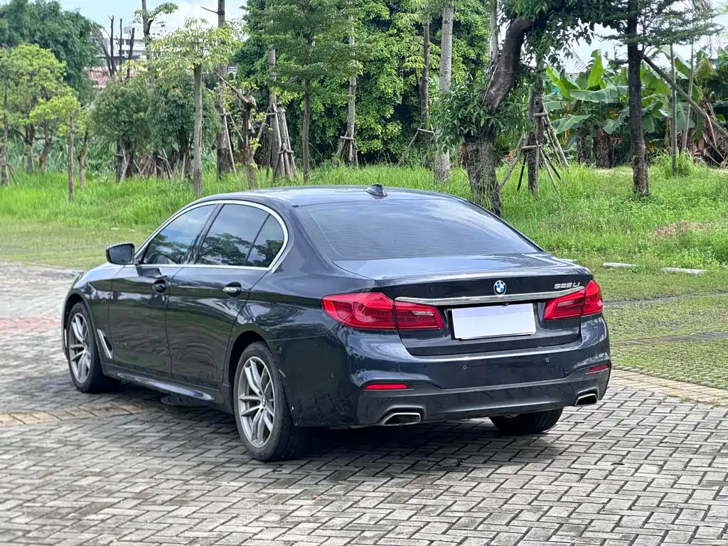 BMW 5 Series 2020 — фото 9