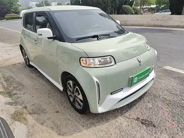 Ora White Cat 2022