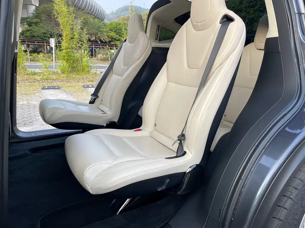 Tesla Model X 2019 — фото 26