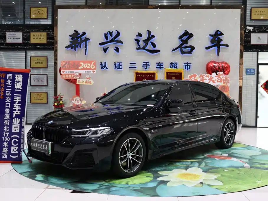 BMW 5 Series New Energy 2022