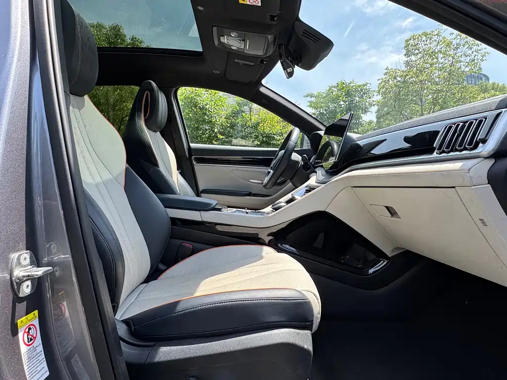BYD PLUS New Energy 2023 — фото 12