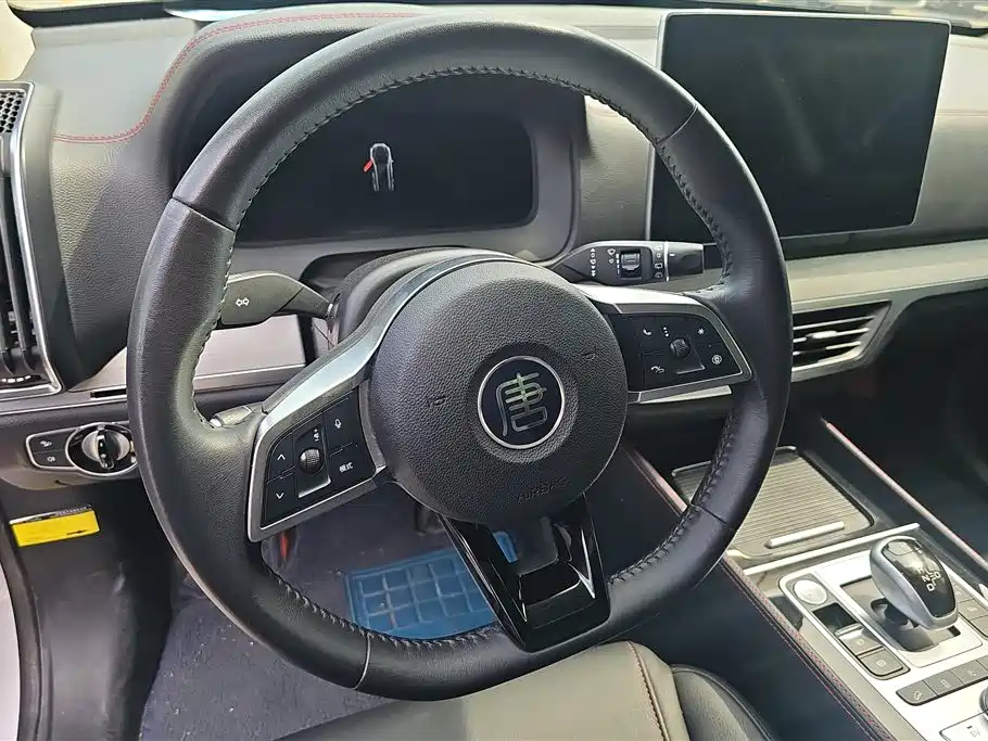 BYD Tang New Energy 2019 — фото 15