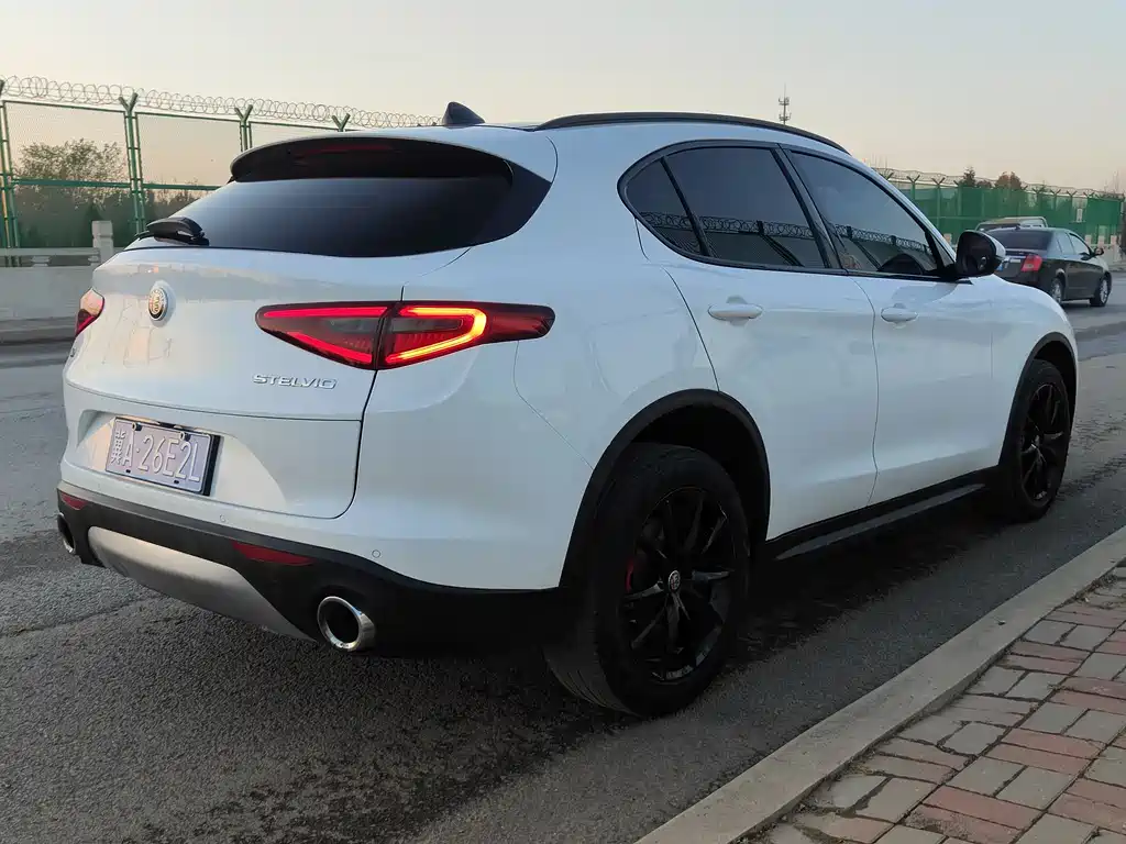 Alfa Romeo Stelvio 2019 — фото 5