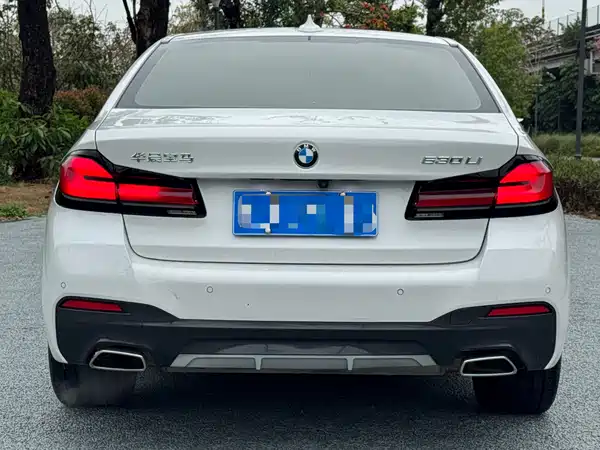 BMW 5 Series 2022