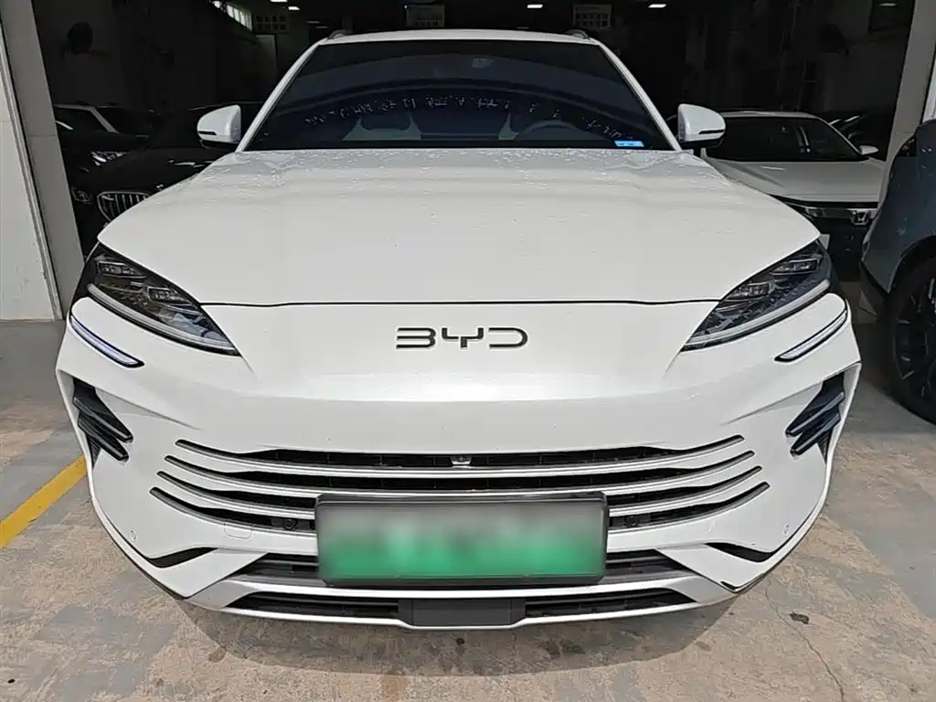 BYD PLUS New Energy 2025 — фото 3