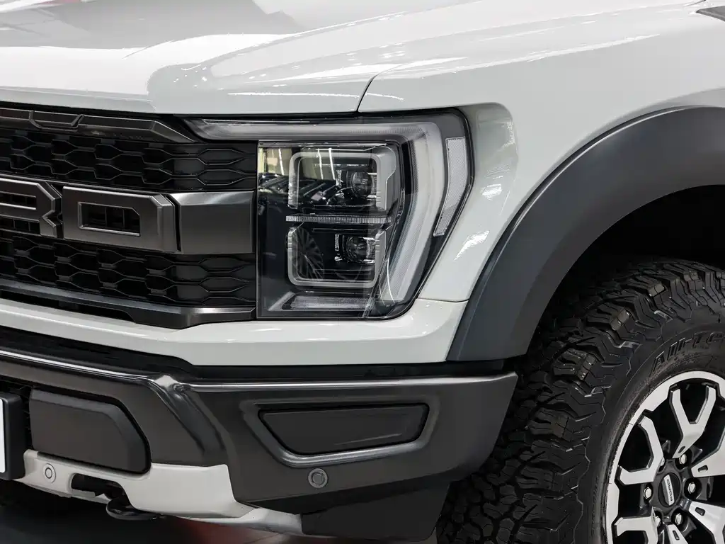 Ford F-150 Raptor — фото 8