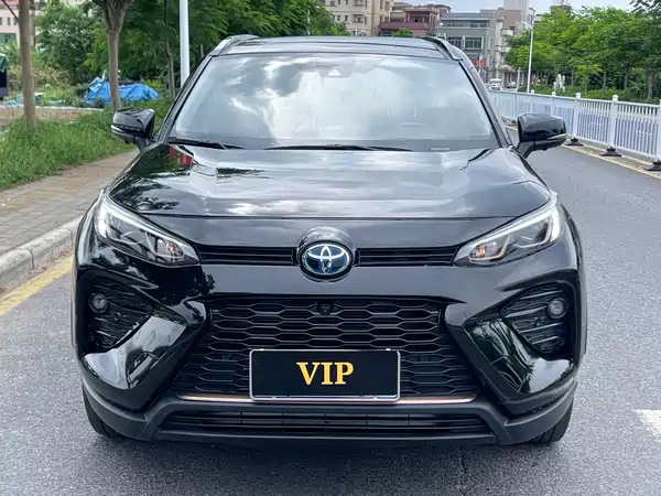 Toyota Wildlander 2024