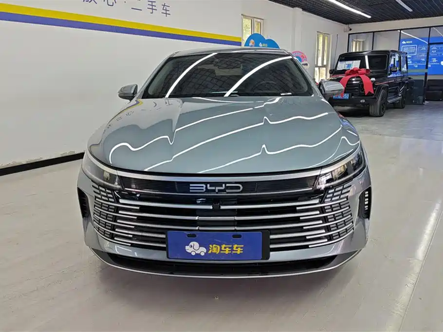 BYD Destroyer 05 2024 — фото 2