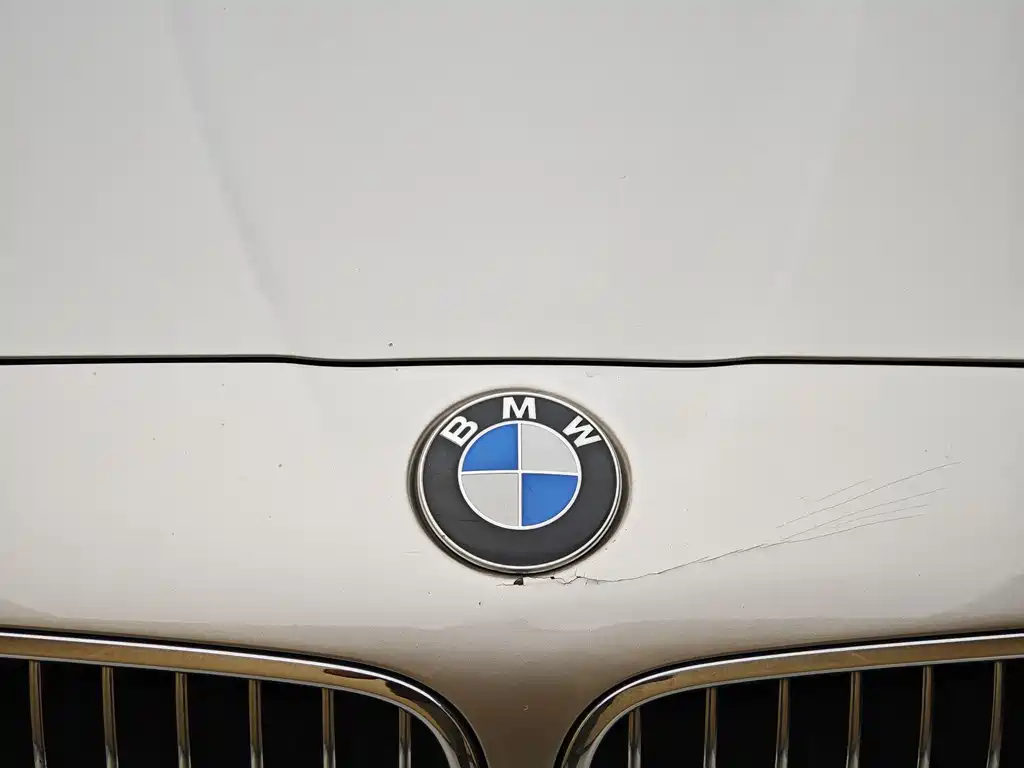 BMW 5 Series 2013 — фото 3