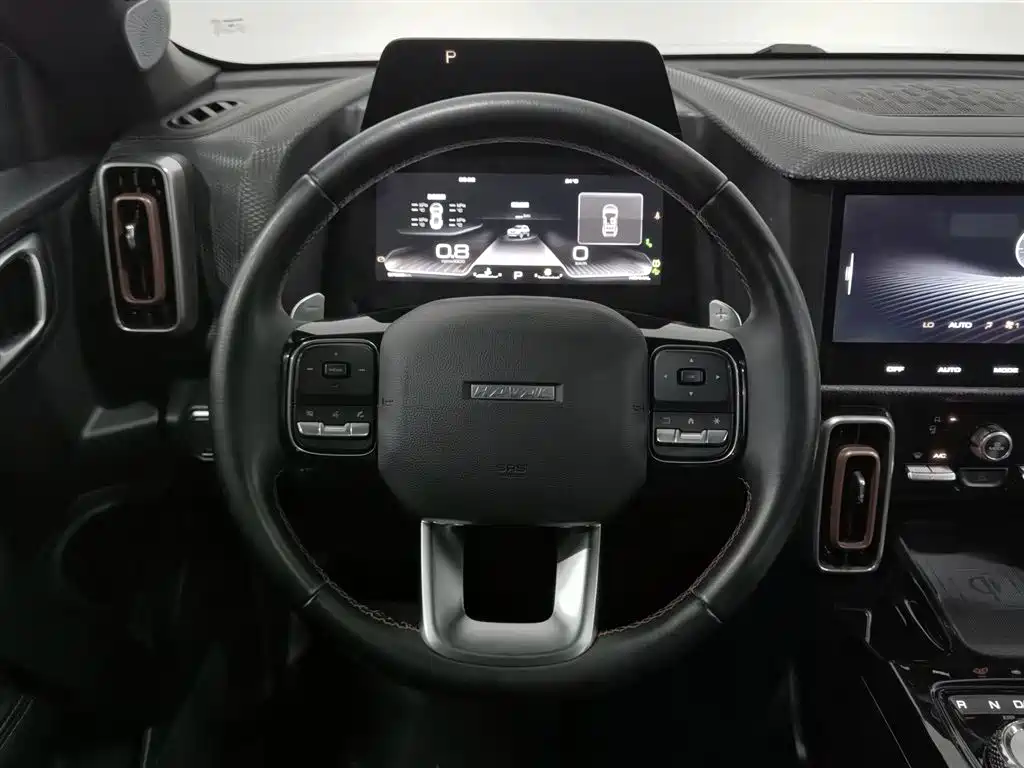 Haval Big Dog 2021 — фото 11