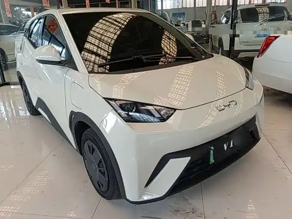 BYD Seagull 2024