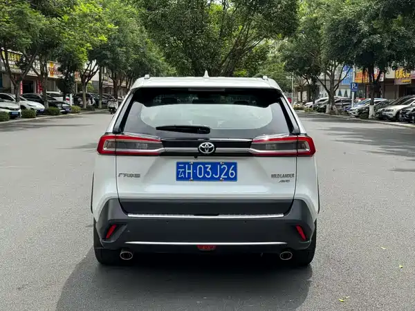 Toyota Wildlander 2024
