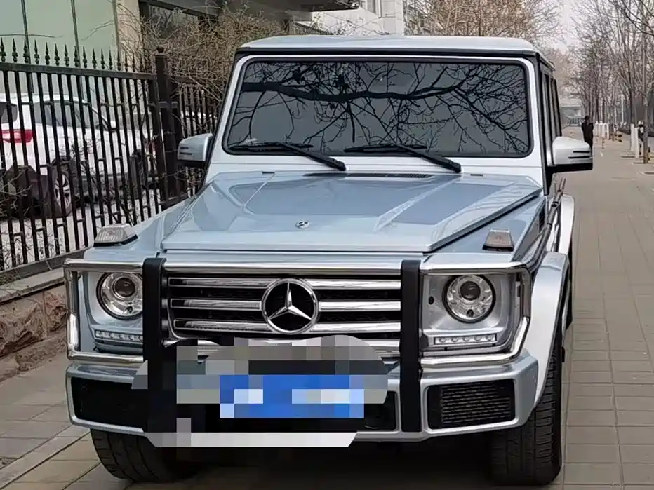 Mercedes-Benz G-Class 2019 — фото 1