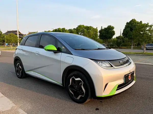 BYD Dolphin 2022