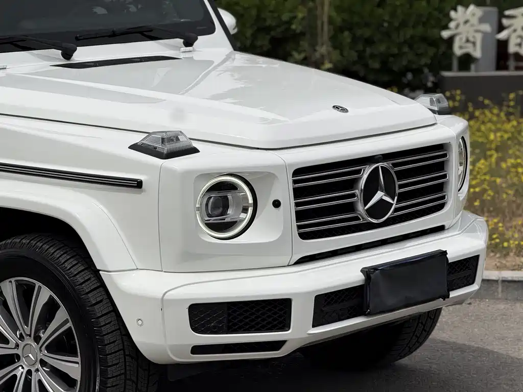 Mercedes-Benz G-Class 2019 — фото 13