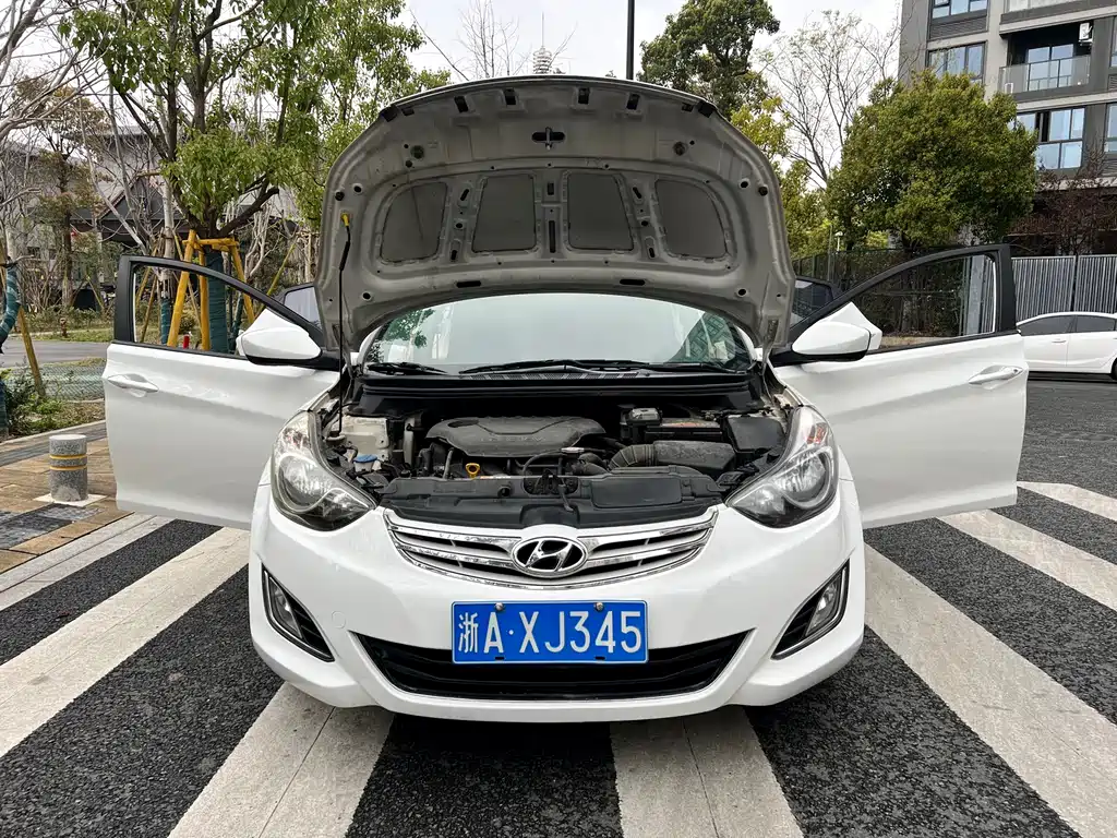 Hyundai Elantra Langdong 2014 — фото 24