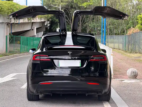 Tesla Model X 2019
