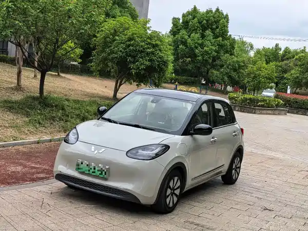 Wuling Bingo 2023