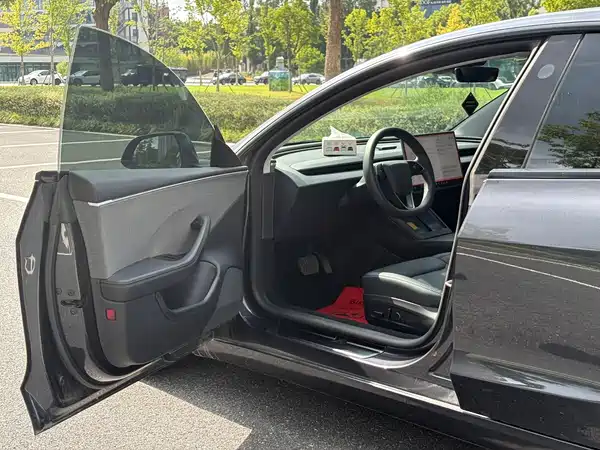 Tesla Model 3 2025