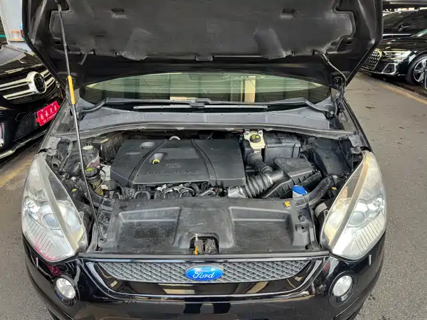 Ford Max 2008