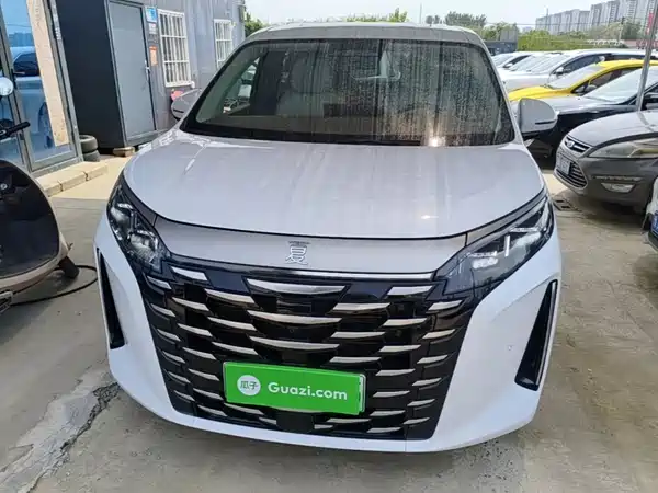 BYD Summer 2025