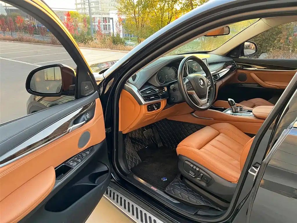 BMW X6 2018