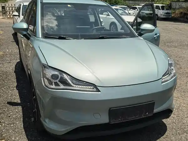 Neta V 2021
