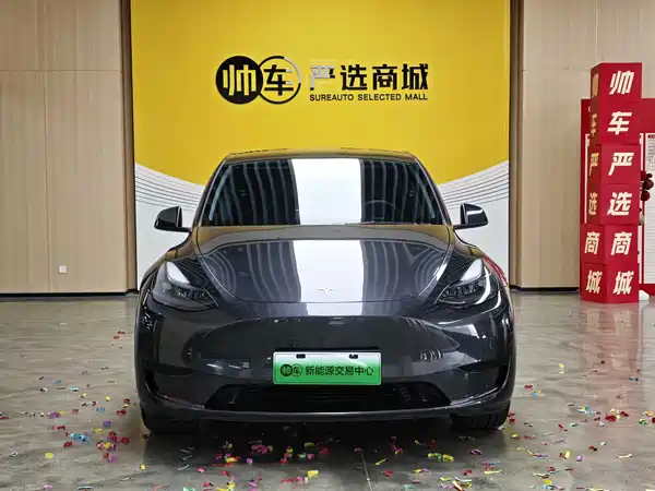 Tesla Model Y 2024