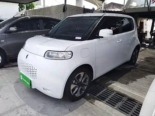 Ora White Cat 2020