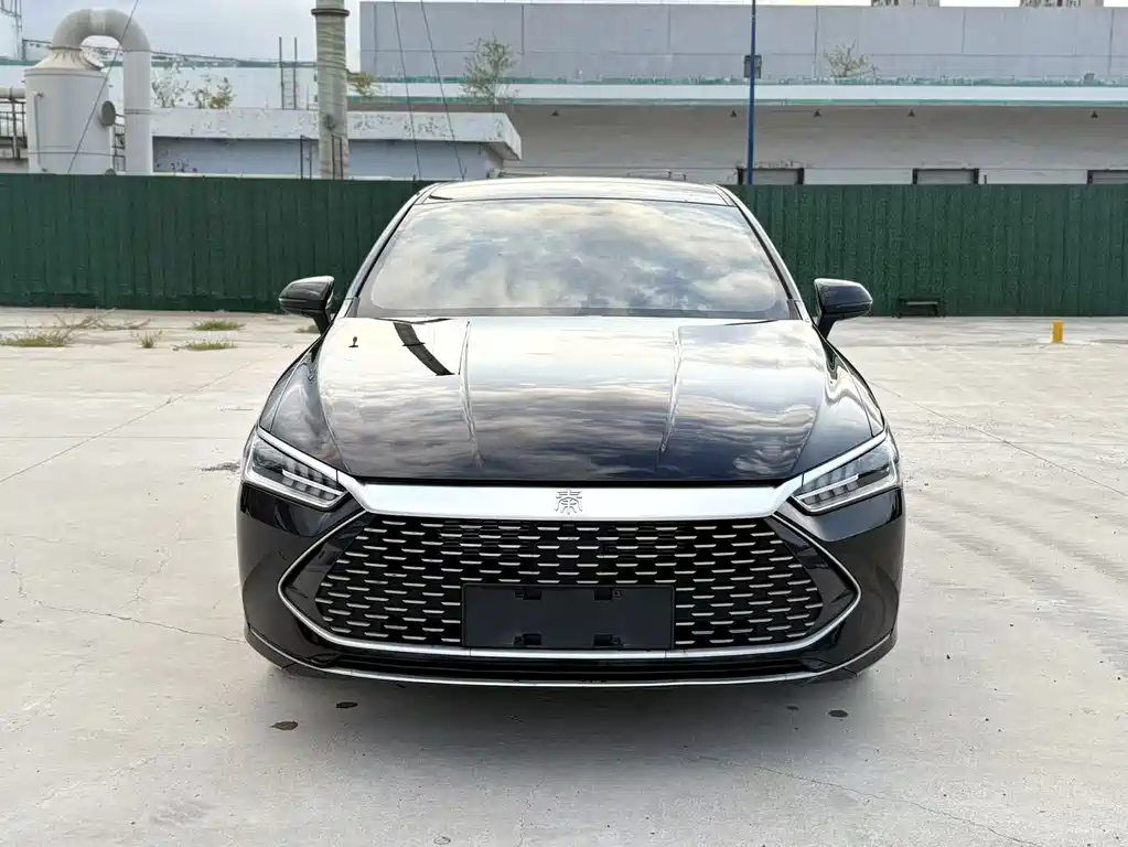 BYD Qin PLUS 2024 — фото 2