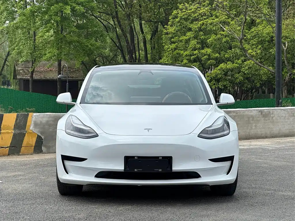 Tesla Model 3 2020 — фото 2