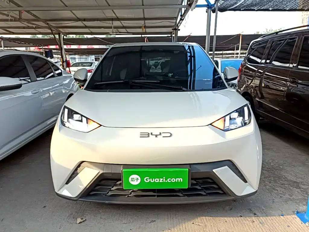 BYD Seagull 2024