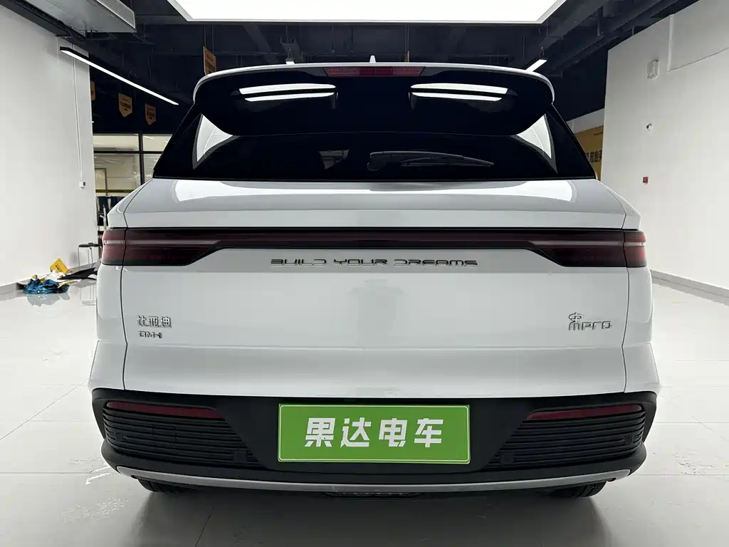 BYD Pro New Energy 2024 — фото 9