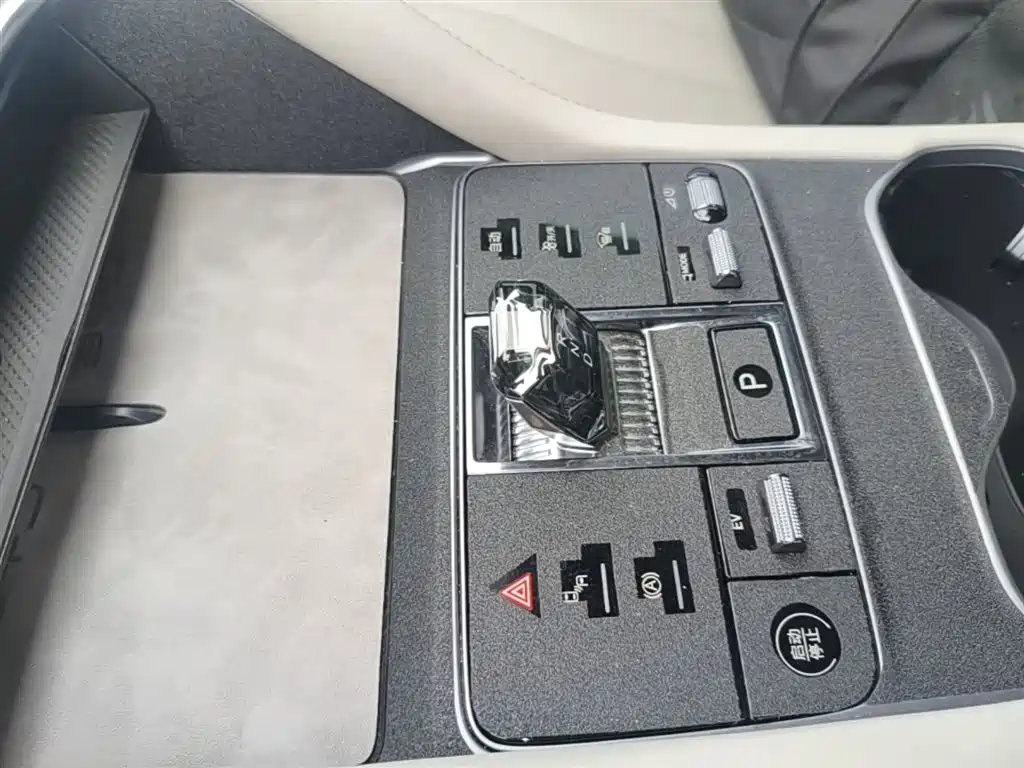 BYD PLUS New Energy 2024 — фото 14