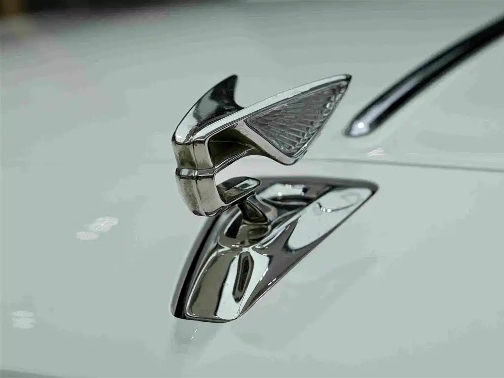 Bentley Flying Spur Plug-In Hybrid 2023 — фото 26