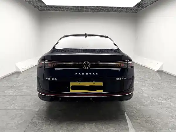 Volkswagen Magotan 2024