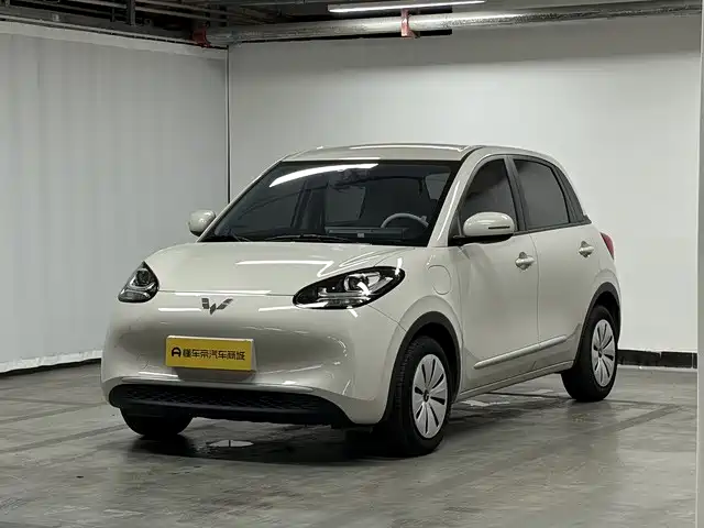 Wuling Bingo 2024