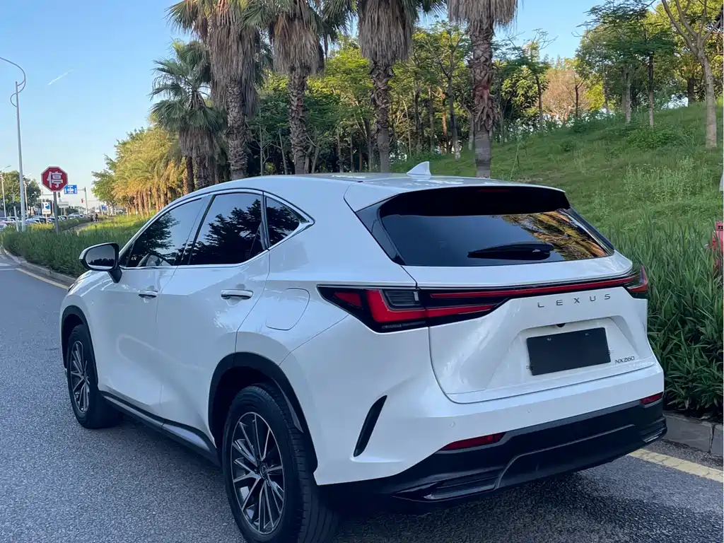 Lexus NX 2022