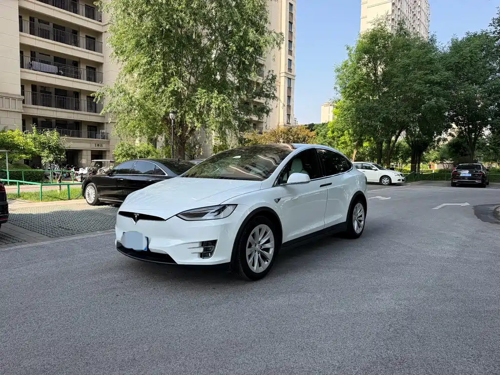 Tesla Model X 2017 — фото 1