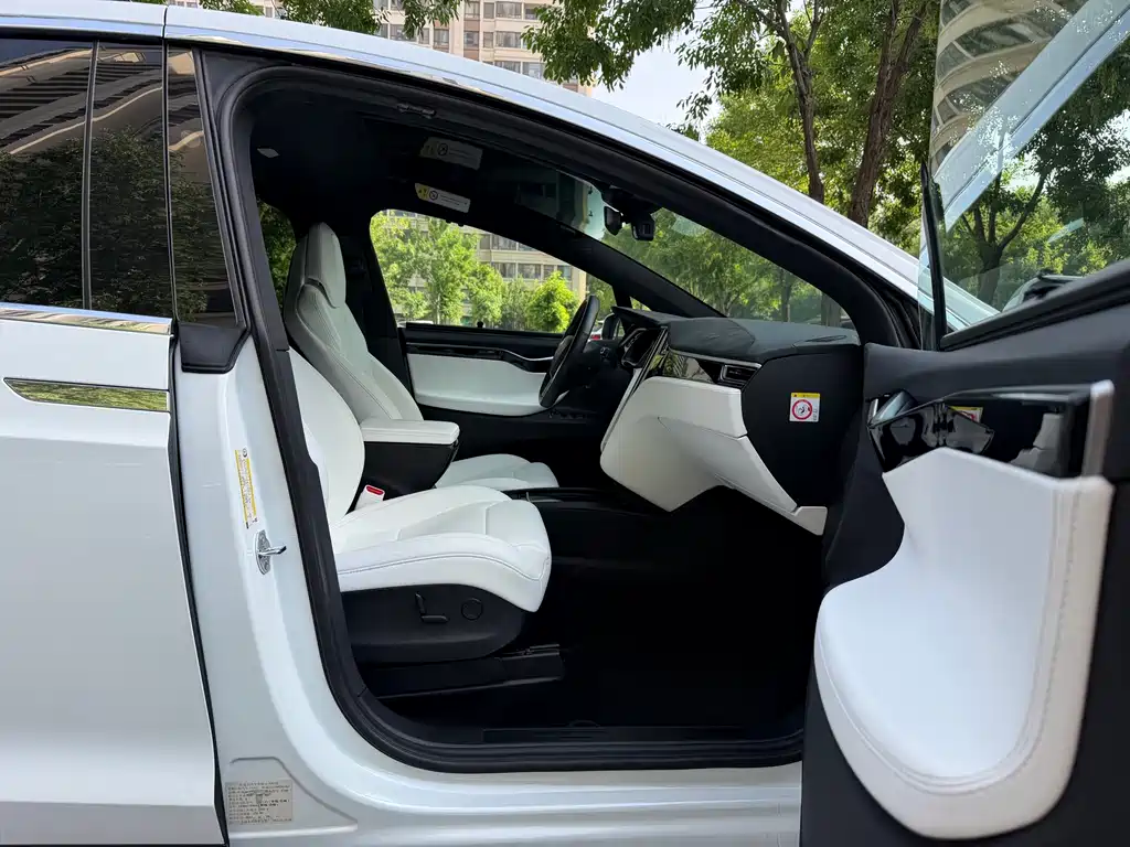 Tesla Model X 2017 — фото 10